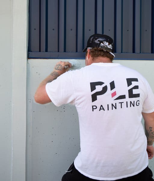 Why do painters wear white